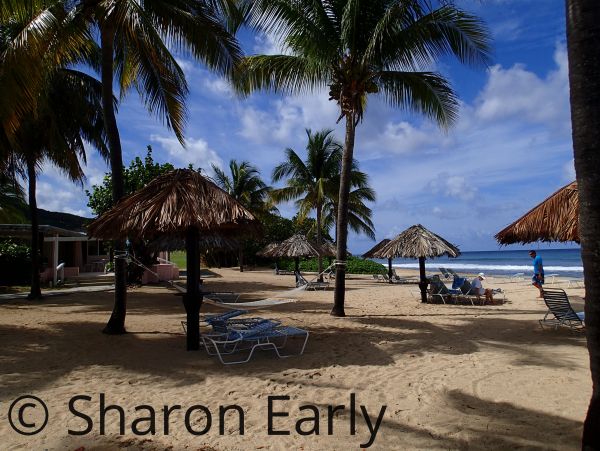 St. Croix Condo 970439