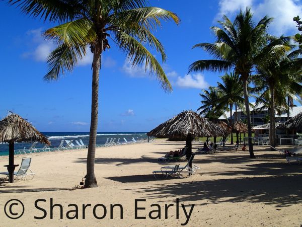St. Croix Condo 970439