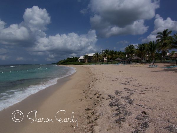 St. Croix Condo 970440