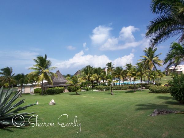 St. Croix Condo 970440