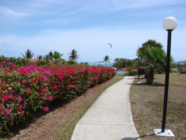 St. Croix Condo 970441