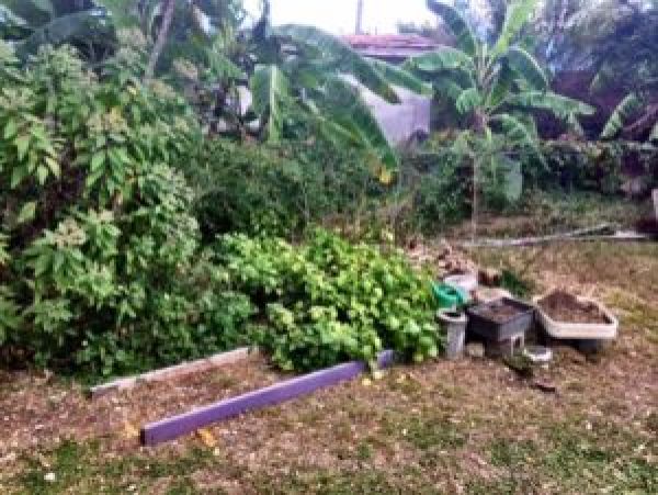 St. Croix Home 970443