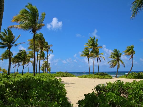 St. Croix Condo 970447