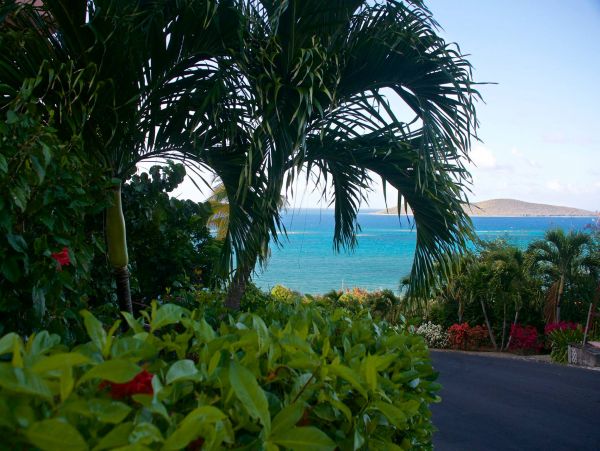 St. Croix Condo 970448