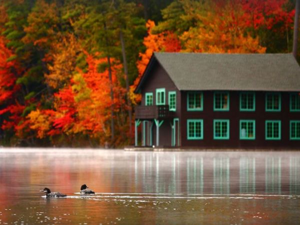 Forty Acre Maine  Estate Plus Guests´ Houses
