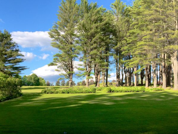 Forty Acre Maine  Estate Plus Guests´ Houses