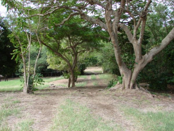 St. Croix Home 970453