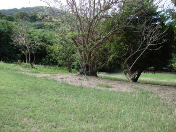 St. Croix Home 970453