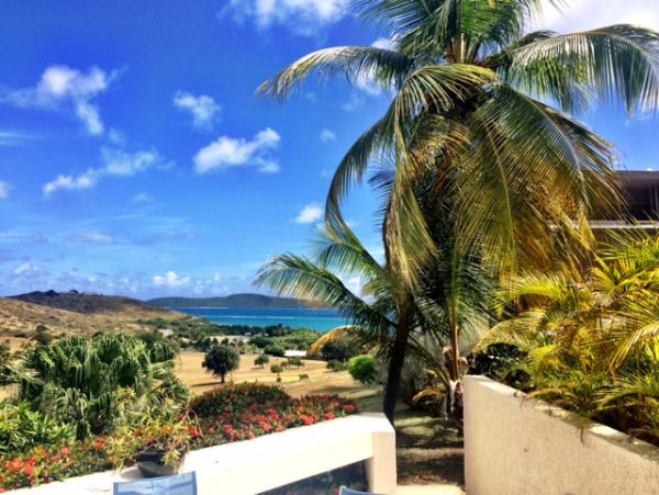 St. Croix Condo 970459