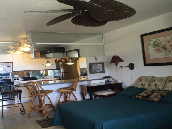 St. Croix Condo 970461