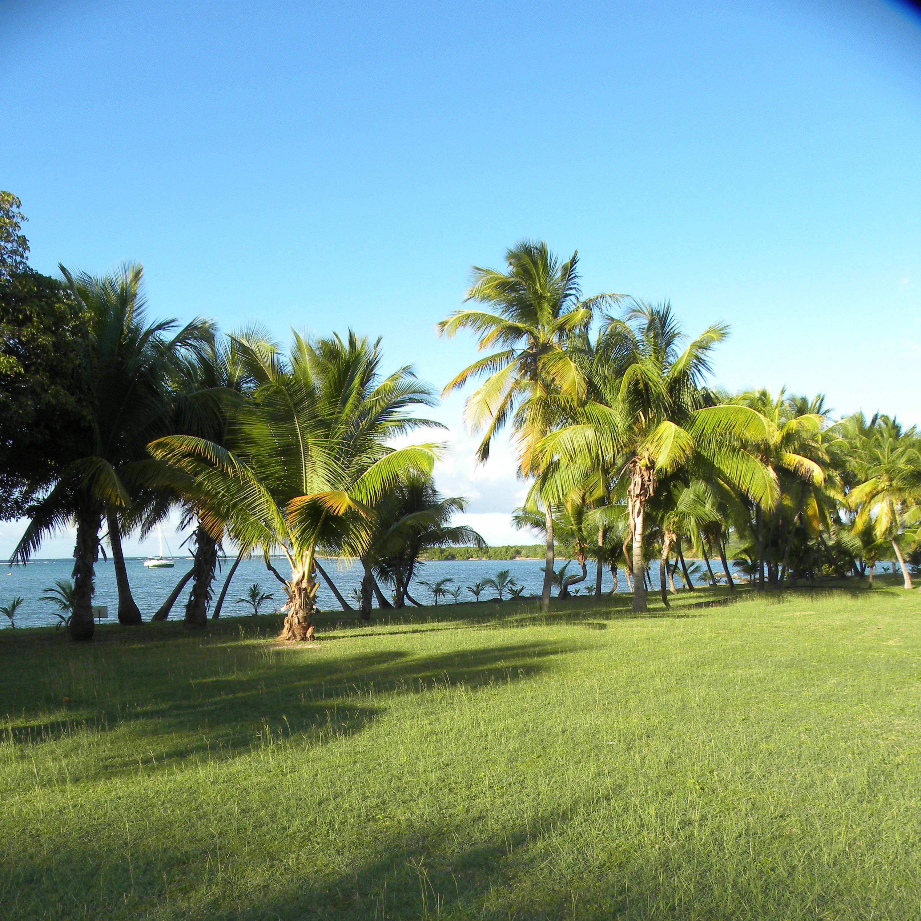 St. Croix Home 970468