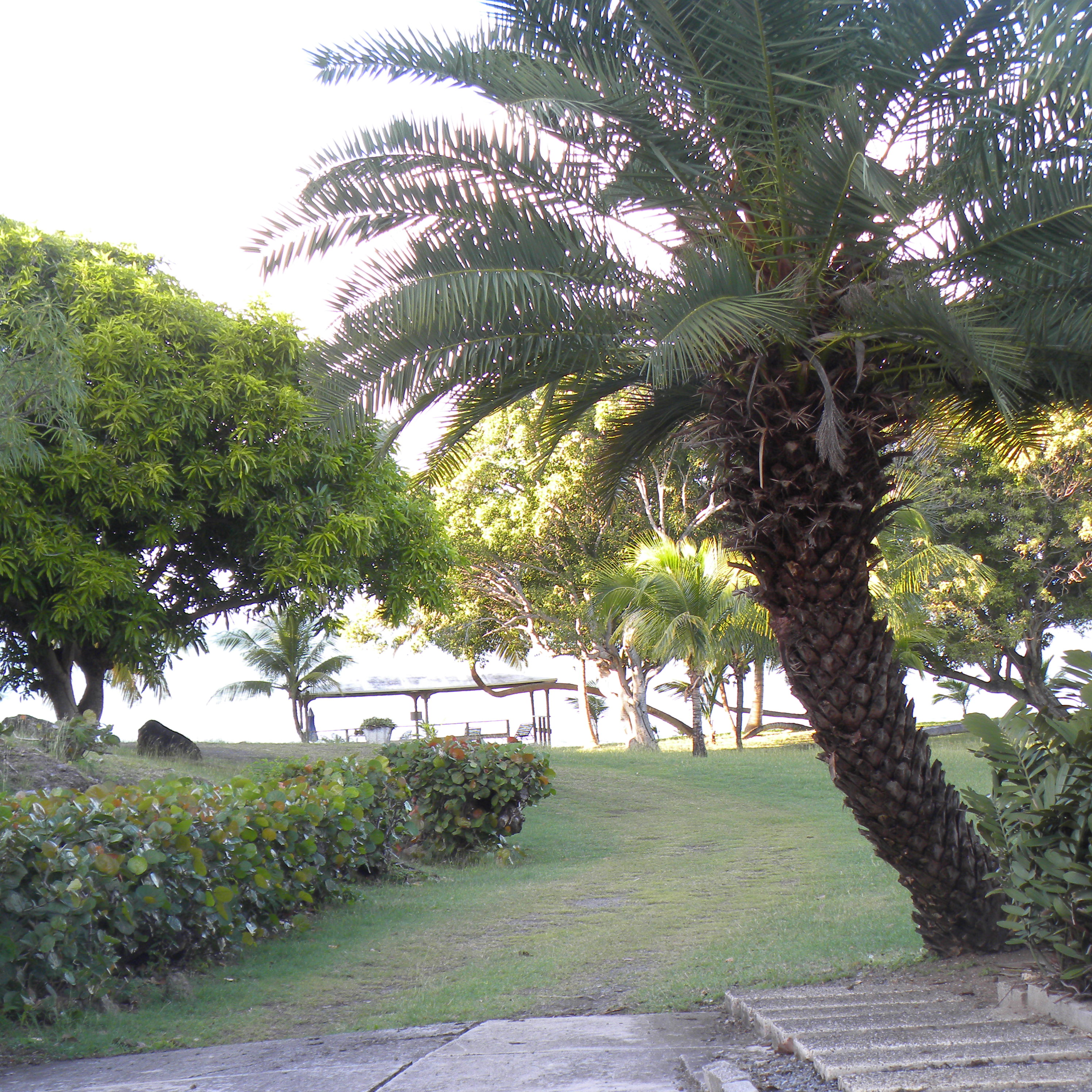 St. Croix Home 970468