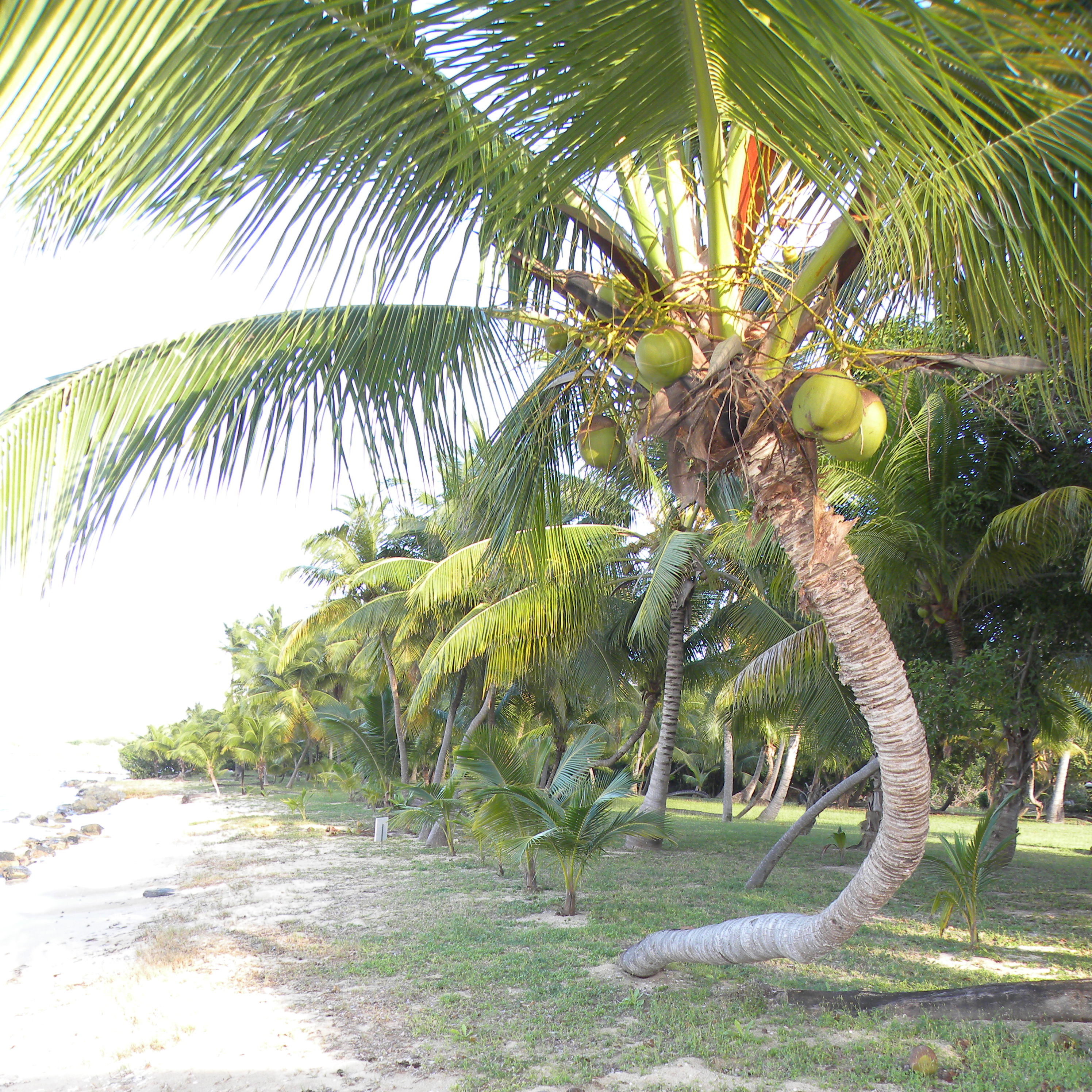 St. Croix Home 970468