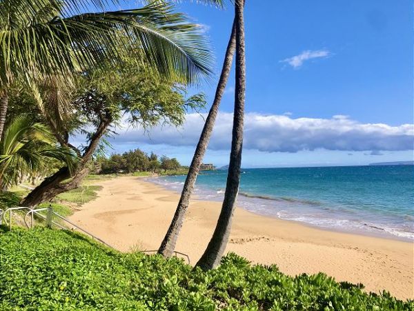 Wailea Condo 970469