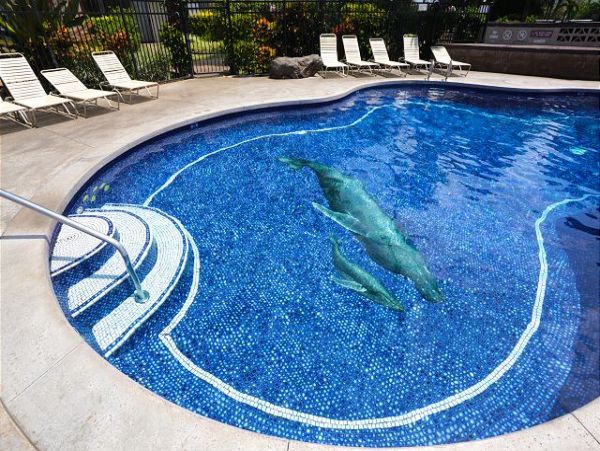 Kihei Condo 970471