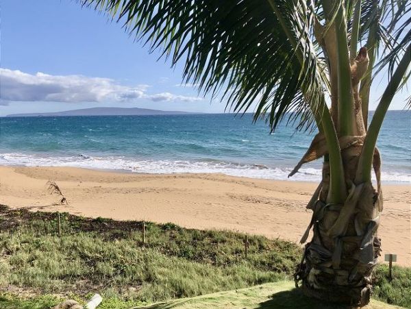 Kihei Condo 970473