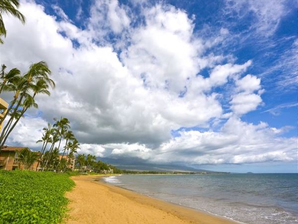 Kihei Condo 970475