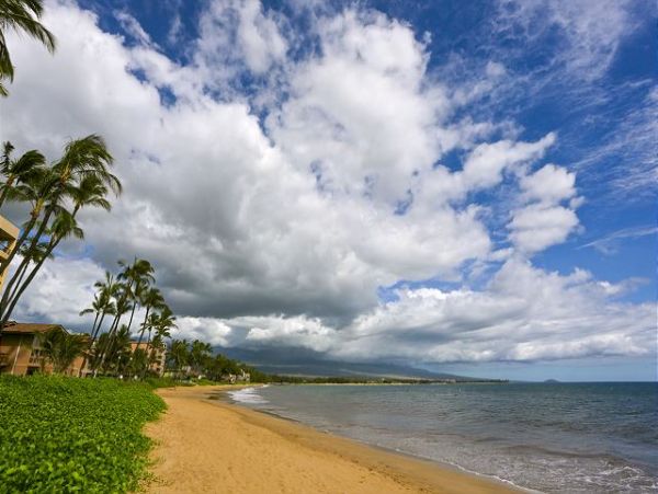 Kihei Condo 970477