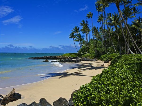 Wailea Vacation Rental Condo - Maui Ocean View Condo Near Beach