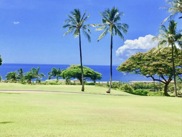 Wailea Vacation Rental Condo - Maui Ocean View Condo Near Beach