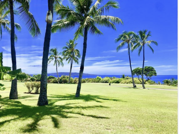 Wailea Vacation Rental Condo - Maui Ocean View Condo Near Beach