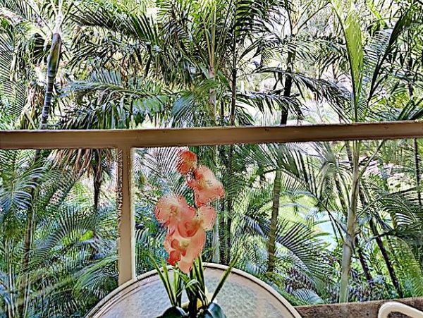 Wailea Condo 970479