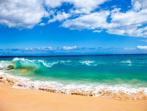 Wailea Condo 970480