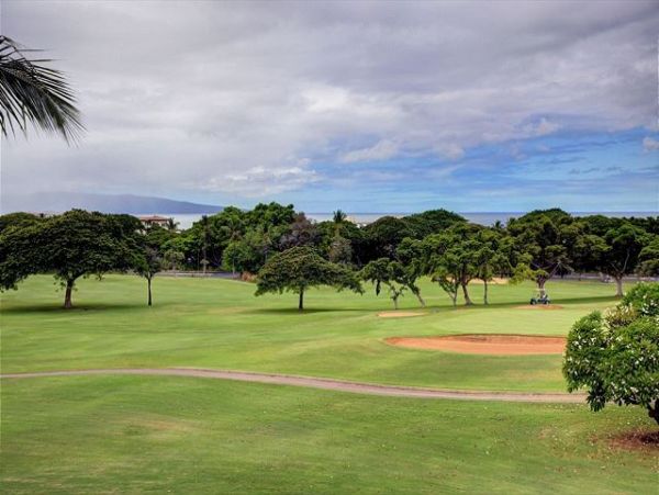 Wailea Condo 970480