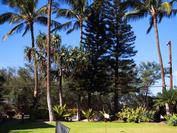 Kihei Condo 970493