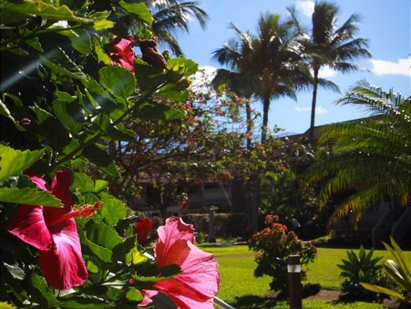 Kihei Condo 970495