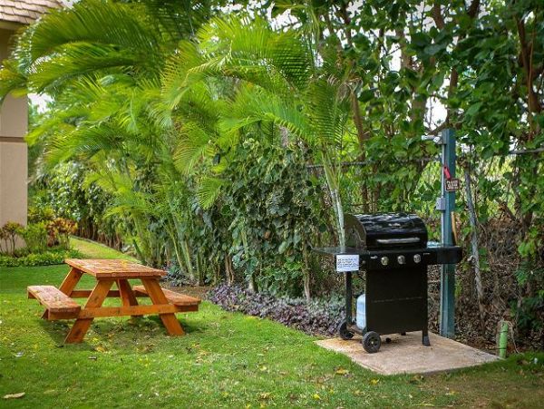 Wailea Condo 970504