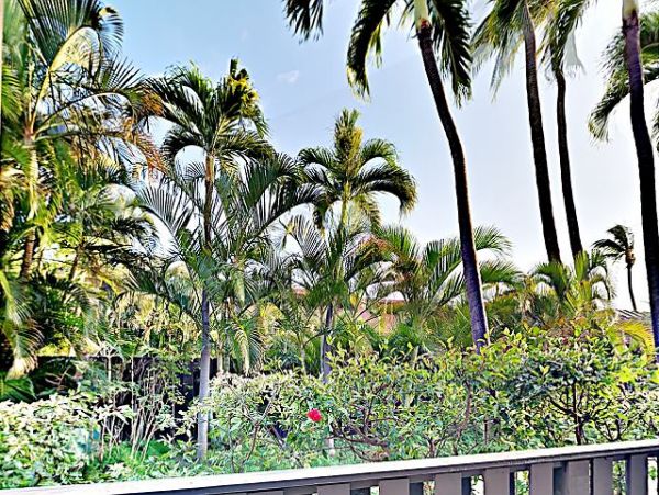 Kihei Condo 970505