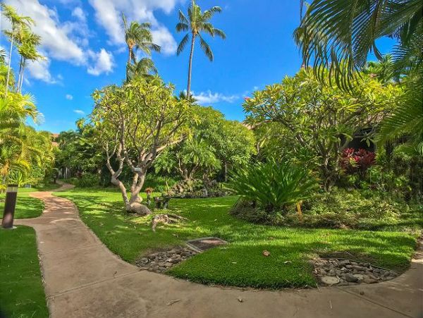 Kihei Condo 970505