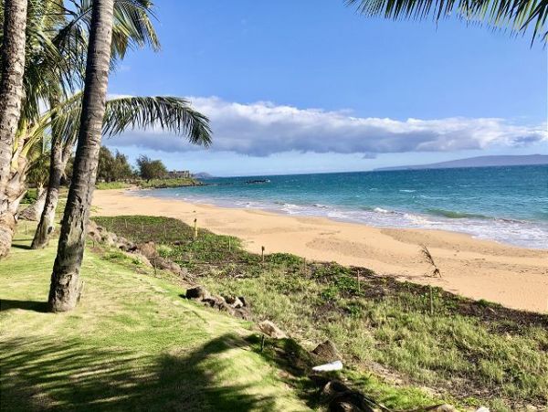 Wailea Condo 970509