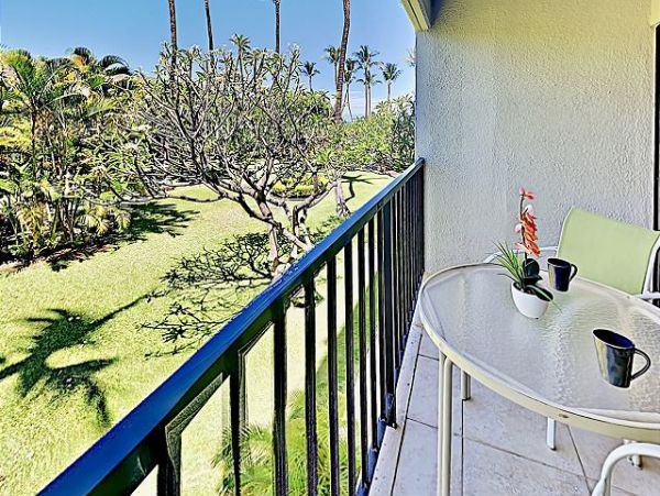 Wailea Condo 970510