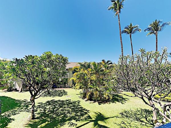 Wailea Condo 970510