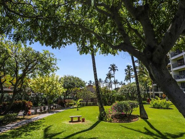 Wailea Condo 970511