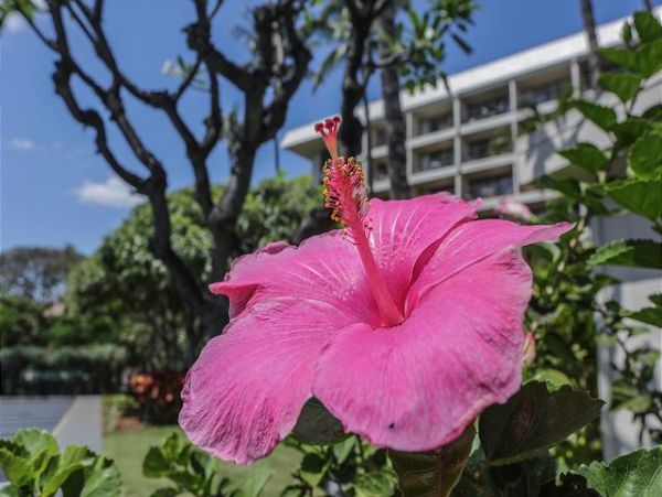 Wailea Condo 970512