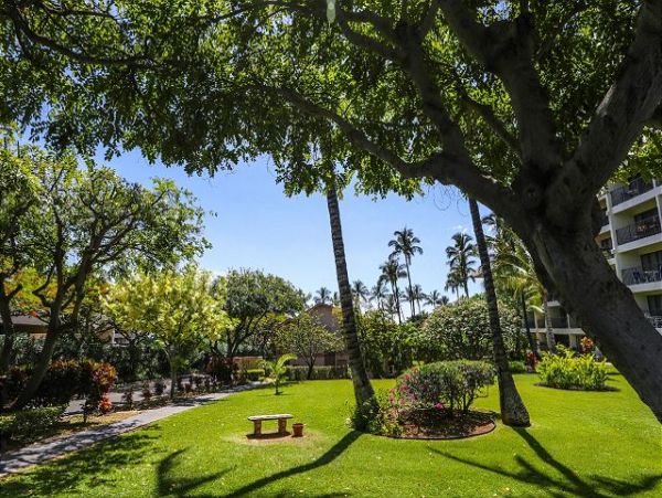 Wailea Condo 970513