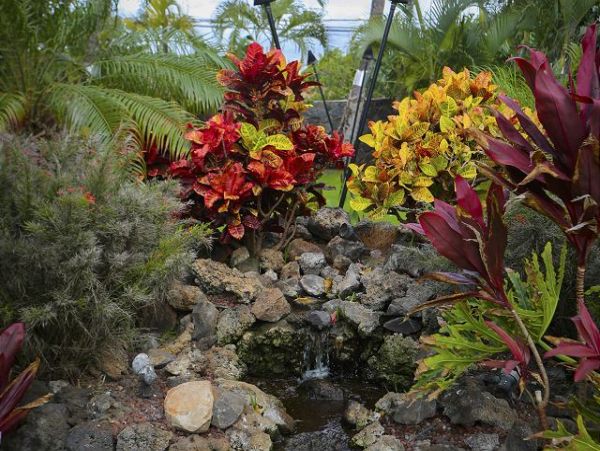Kihei Condo 970515