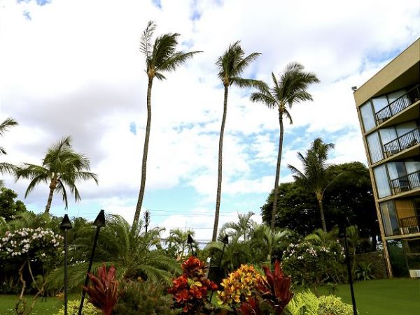 Kihei Condo 970516