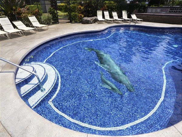 Kihei Condo 970519