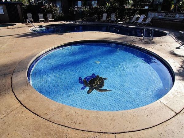 Kihei Condo 970522