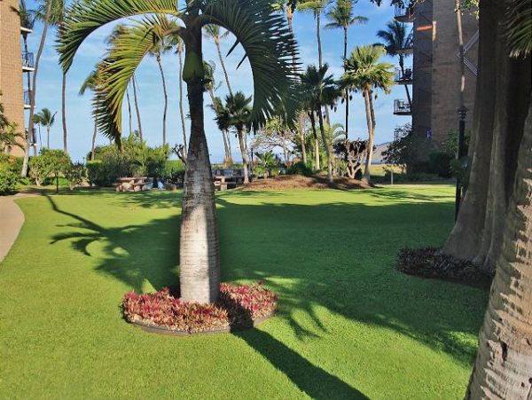 Kihei Condo 970522