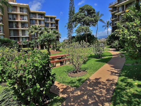 Kihei Condo 970522
