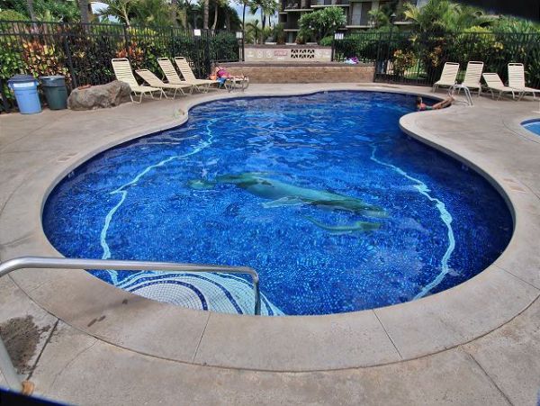 Kihei Condo 970523