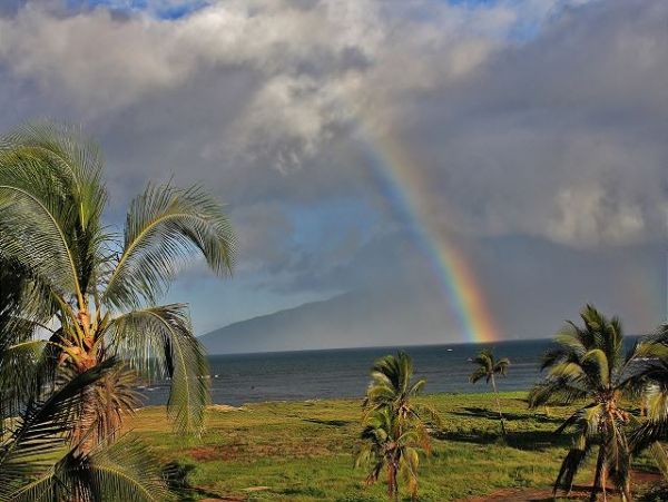 Kihei Condo 970523