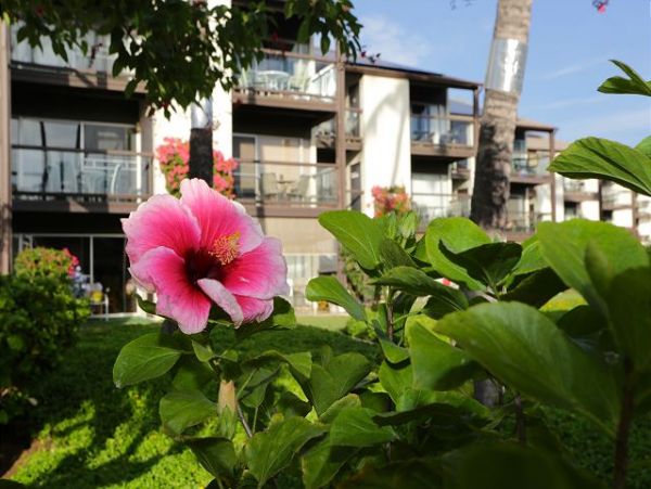 Wailea Condo 970524