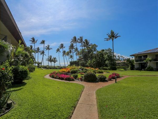 Kihei Condo 970525
