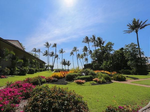 Kihei Condo 970525